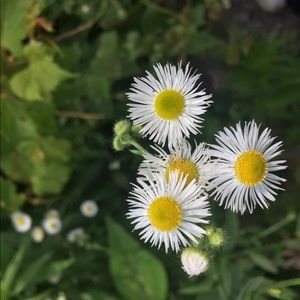 Meet your Posher, Mehreen